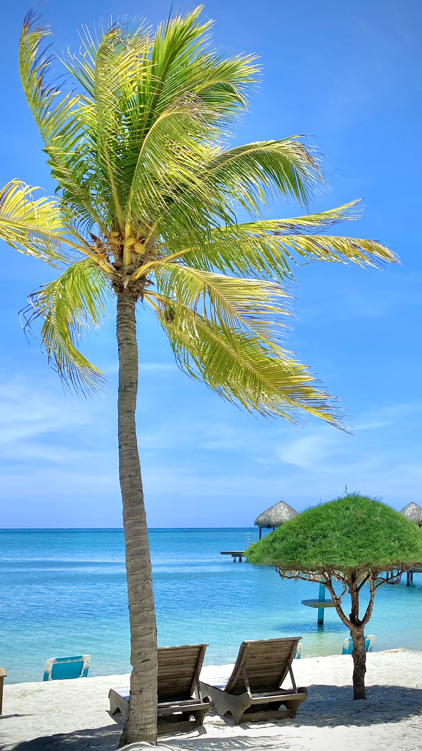 Roatan Island – Caribbean Island of Honduras | Vacation & Real Estate